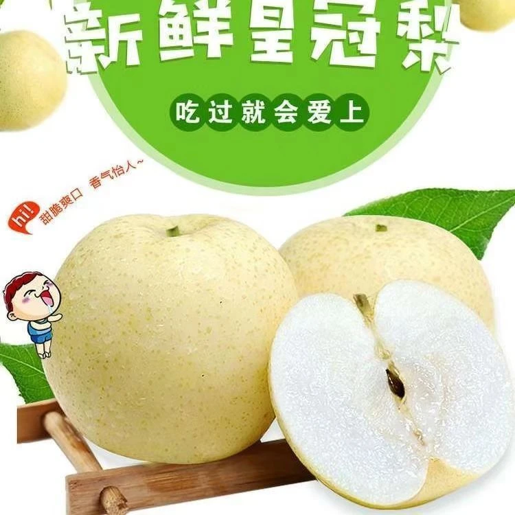 直播福利赵县皇冠梨现摘现发脆甜新鲜爽口酥脆多汁包邮25新梨甘甜