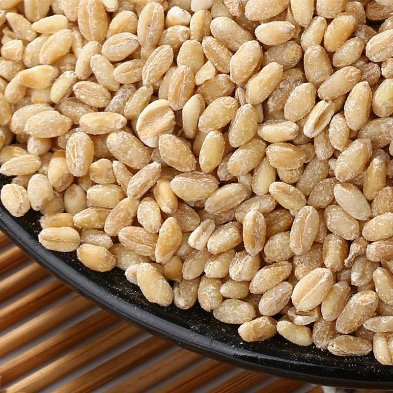 小麦仁小麦米去皮小麦新麦脱皮精选健康小麦仁农家河南麦子营养