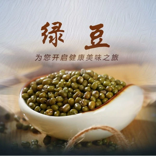 农家绿豆新货易煮脱皮绿豆发豆芽绿豆营养绿豆汤新鲜颗粒饱满食用