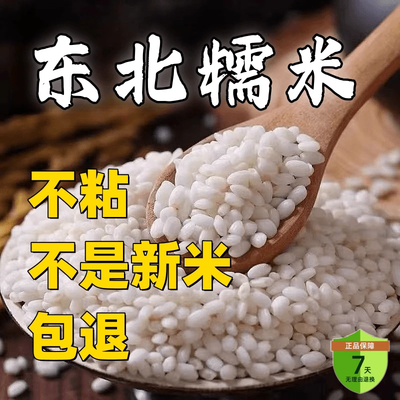 新鲜糯米包粽子江米阴米粘酿酒大米圆粒糯米传统饱满黑土地