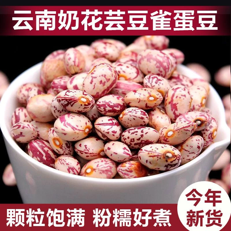 新货云南雀蛋豆饱满农家红花芸豆奶花芸豆花生豆杂粮营养