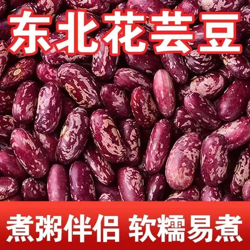 芸豆红花芸豆豆包豆馅大碴子粥专用奶花饭豆新鲜