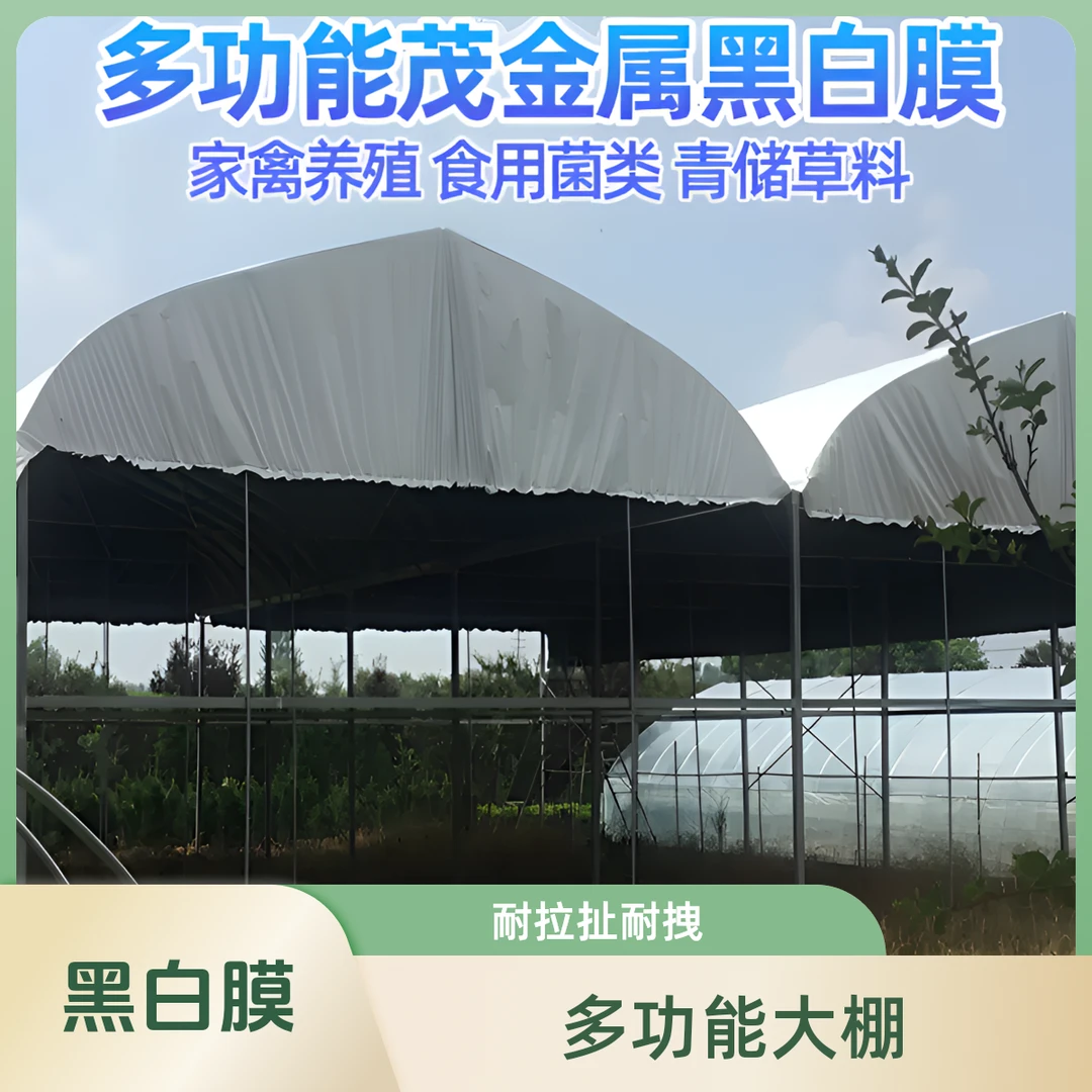 进口料PE黑白膜大棚遮阳防晒隔热膜养殖大棚养殖抗老化全新黑白膜