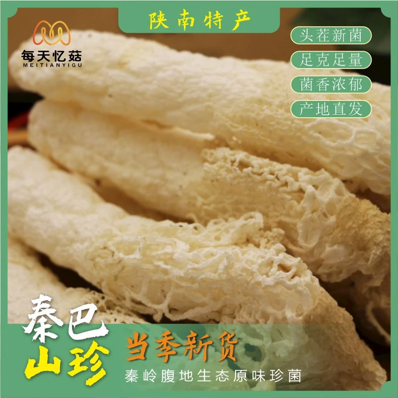 每天忆菇竹荪菌竹荪竹逊野生菌菇煲汤食材竹笙秦巴珍宝新品干货
