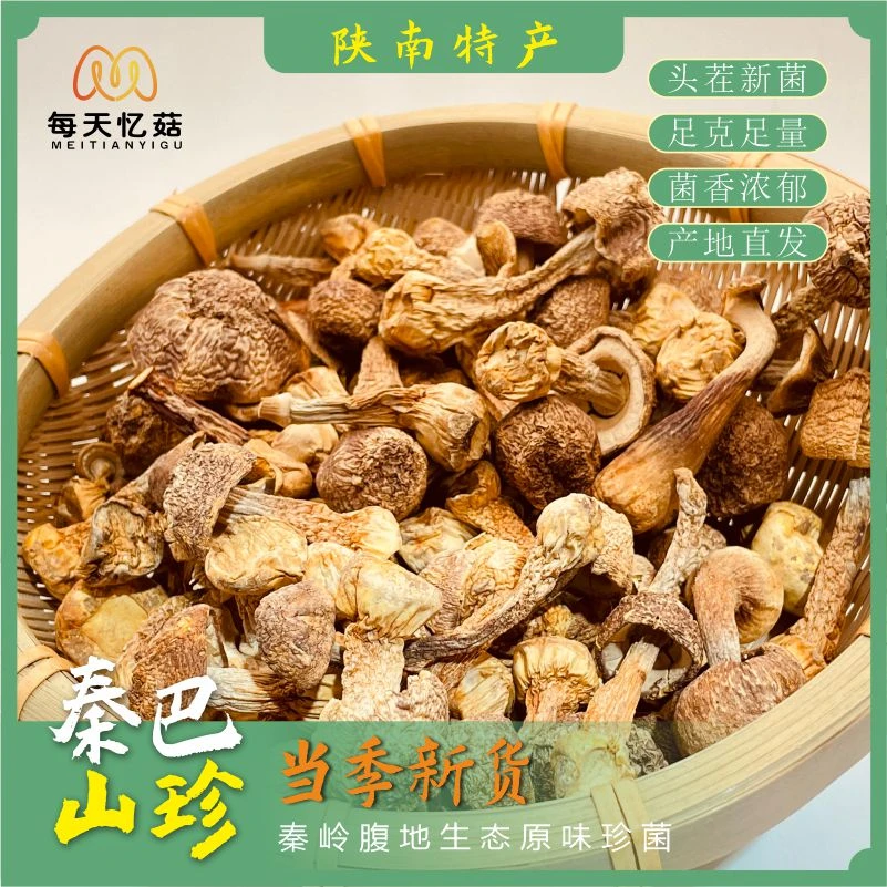 每天忆菇姬松茸秦巴珍宝新品干货巴西菇煲汤料火锅食材鸡松茸无硫