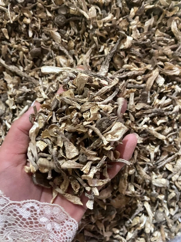 【山货 · 】现收特产干货土特产（鹿茸菇碎）