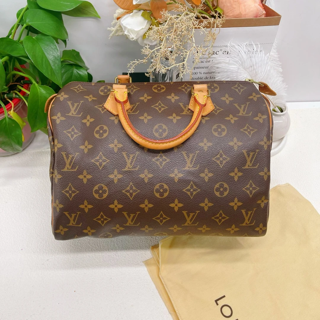 95新 LouisVuitton/路易威登 Speedy 30枕头包手拿款10219890