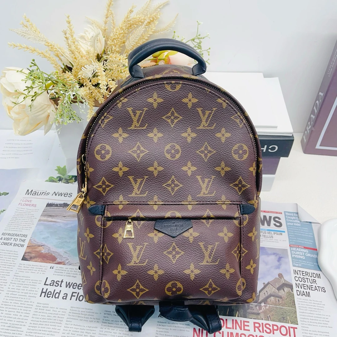 95新 LouisVuitton/路易威登  小号老花双肩包小书包10120712