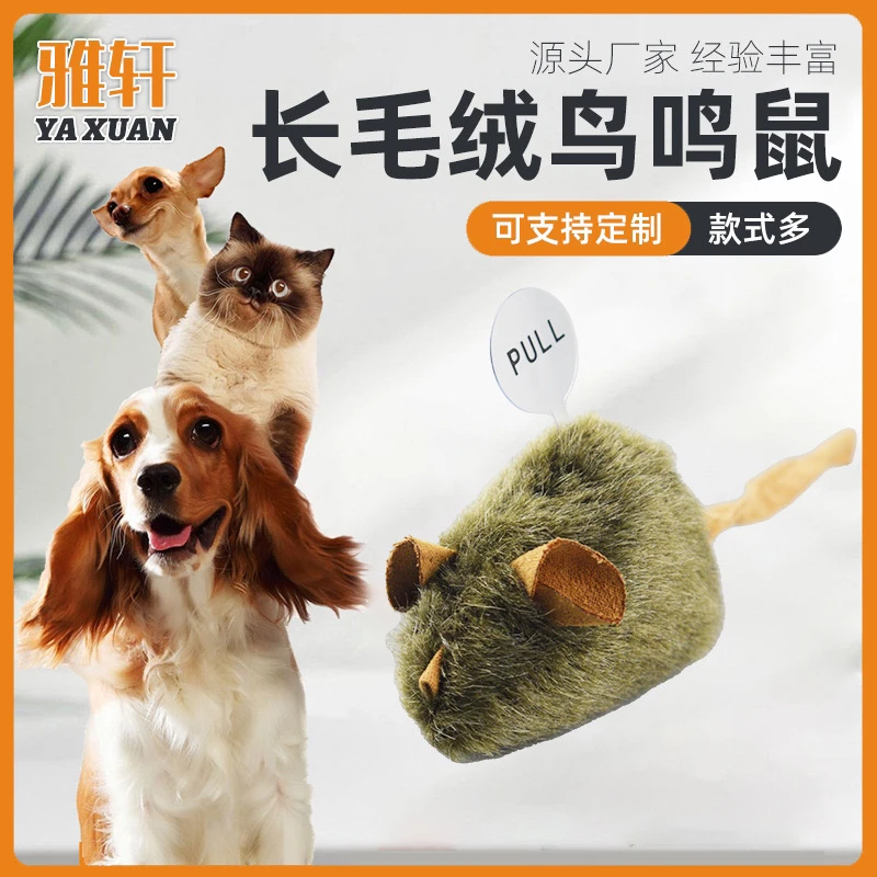 宠物猫咪触碰发声猫猫老鼠吱吱叫小猫猫猫老鼠玩具