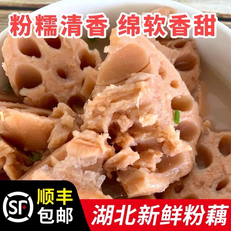 【顺丰包邮】湖北正宗煲汤粉藕新鲜莲藕现挖3斤5斤包邮