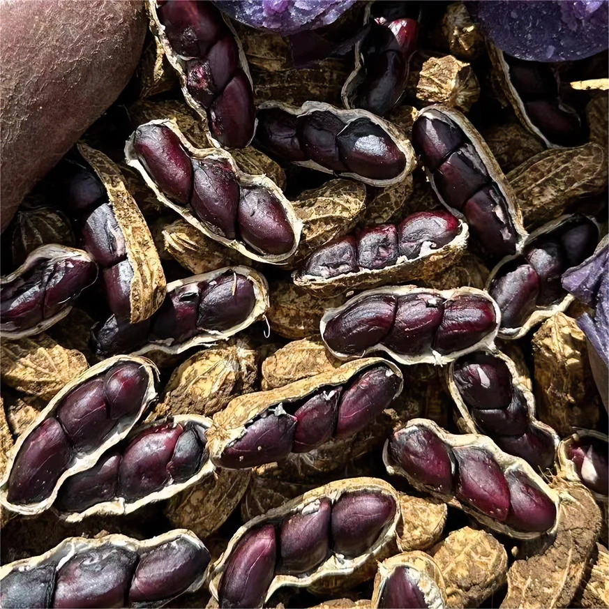 【淋大妈】云南高原红土新鲜（湿）黑花生 2斤/3斤装