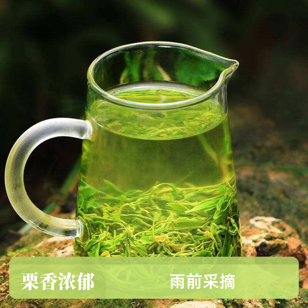 2025年正宗安徽黄山手工揉捻高山云雾茶鲜爽鲜嫩【产地富溪】新茶