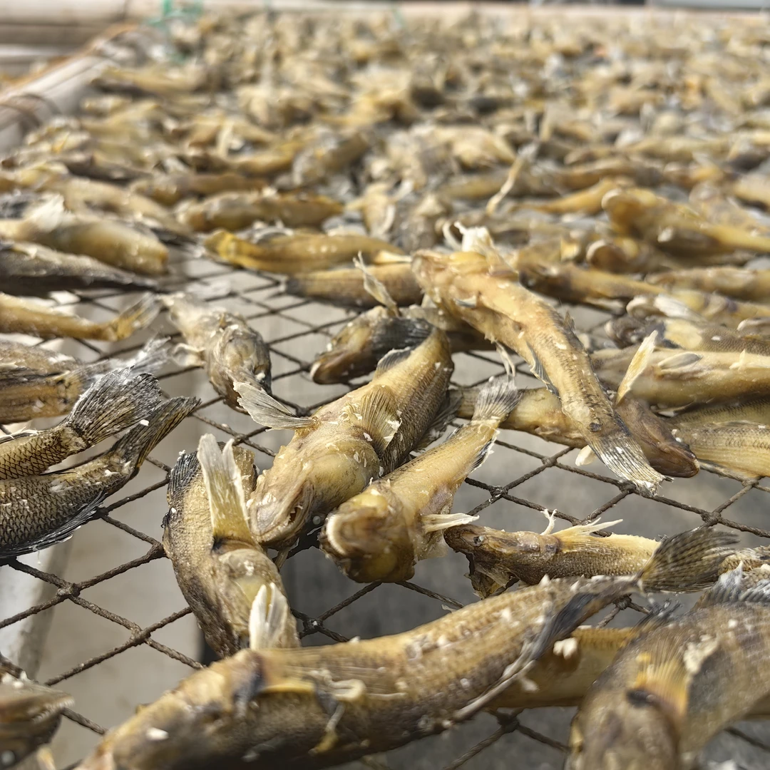 卤炸小熟鱼 富汉子脖 胖孩鱼 熟的直接吃卤虾海鲫鱼柳叶鱼