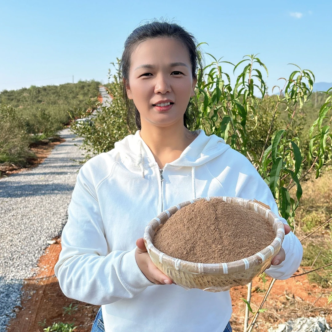 正宗茶麸粉古法压榨头道茶枯粉茶麸粉草本养发洗头颗粒家用