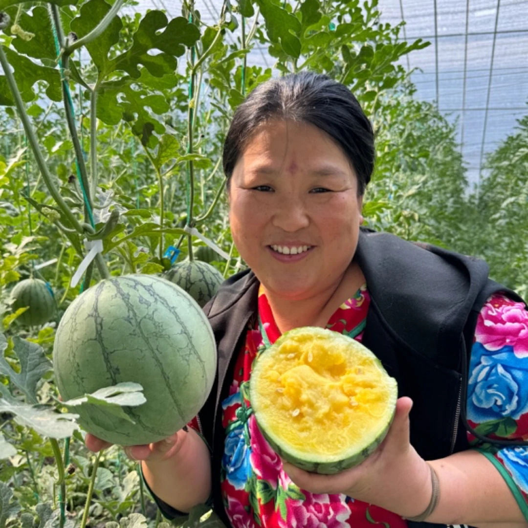 源子家黄瓤西瓜水分大好吃