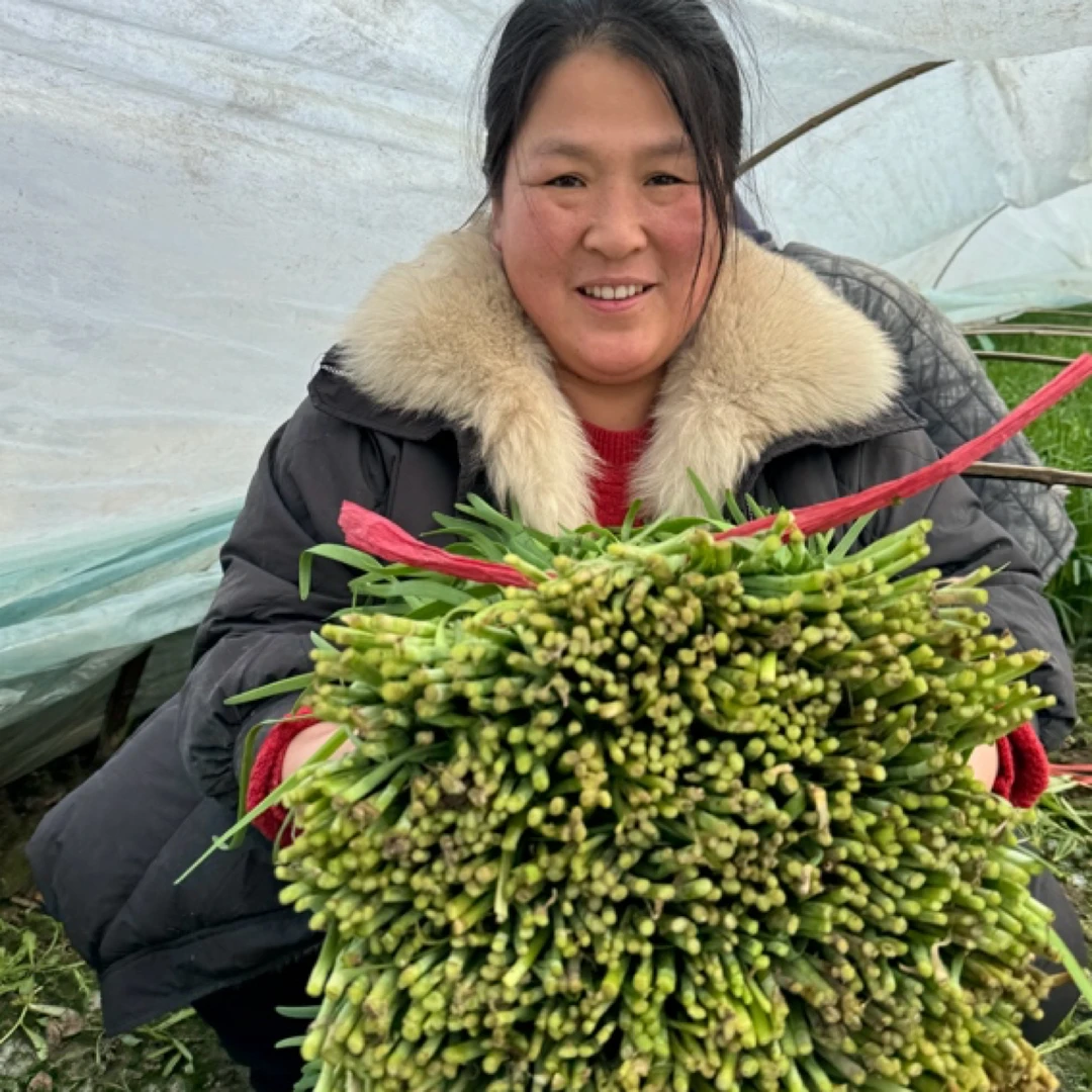 潍坊寿光头茬韭菜新鲜好吃5斤装