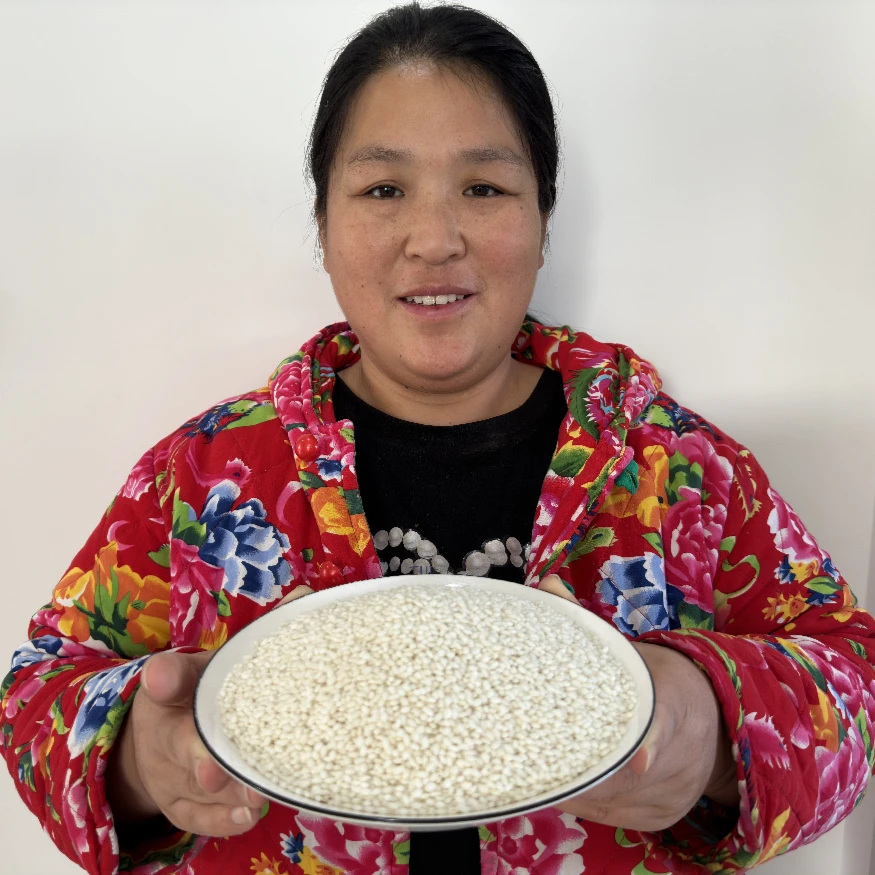 农村源子包粽子用的糯米5斤装