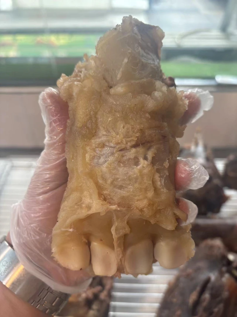 熟牛蹄筋 江浙沪皖包邮（无泡发）