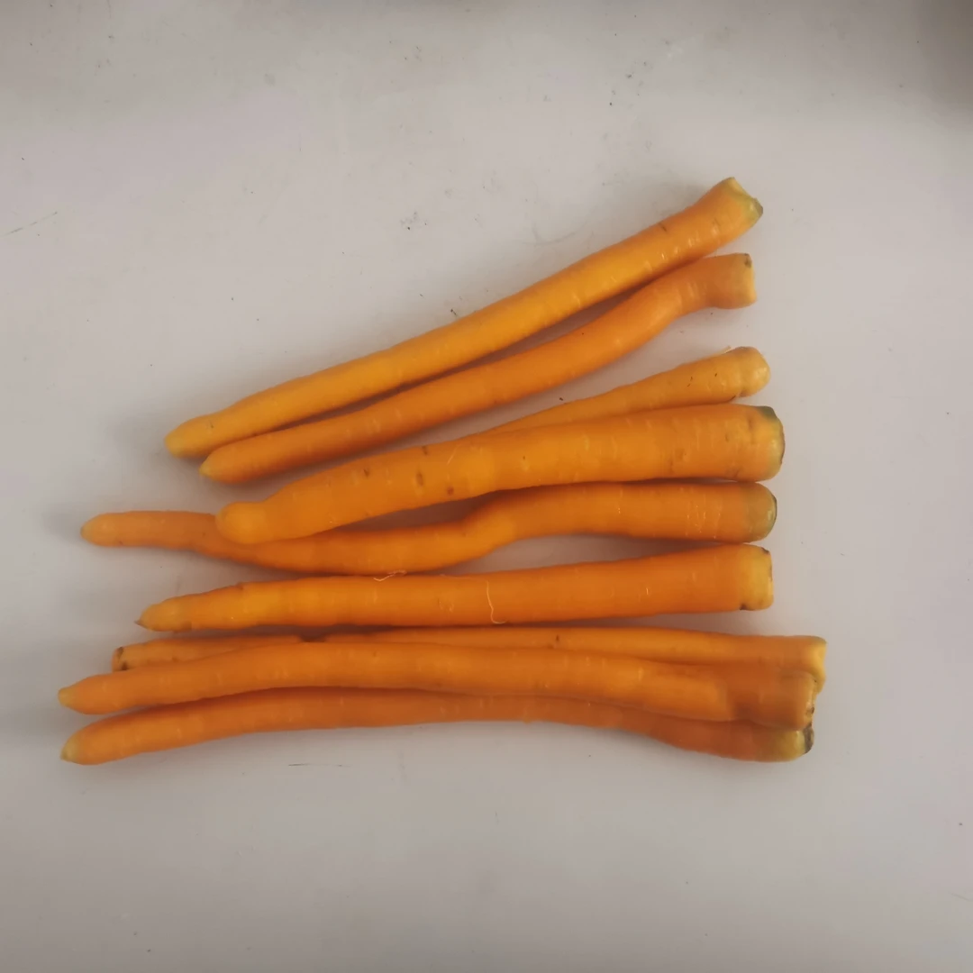 浦城本地  农户自种 九秋胡萝卜  红萝卜带甜味特别好