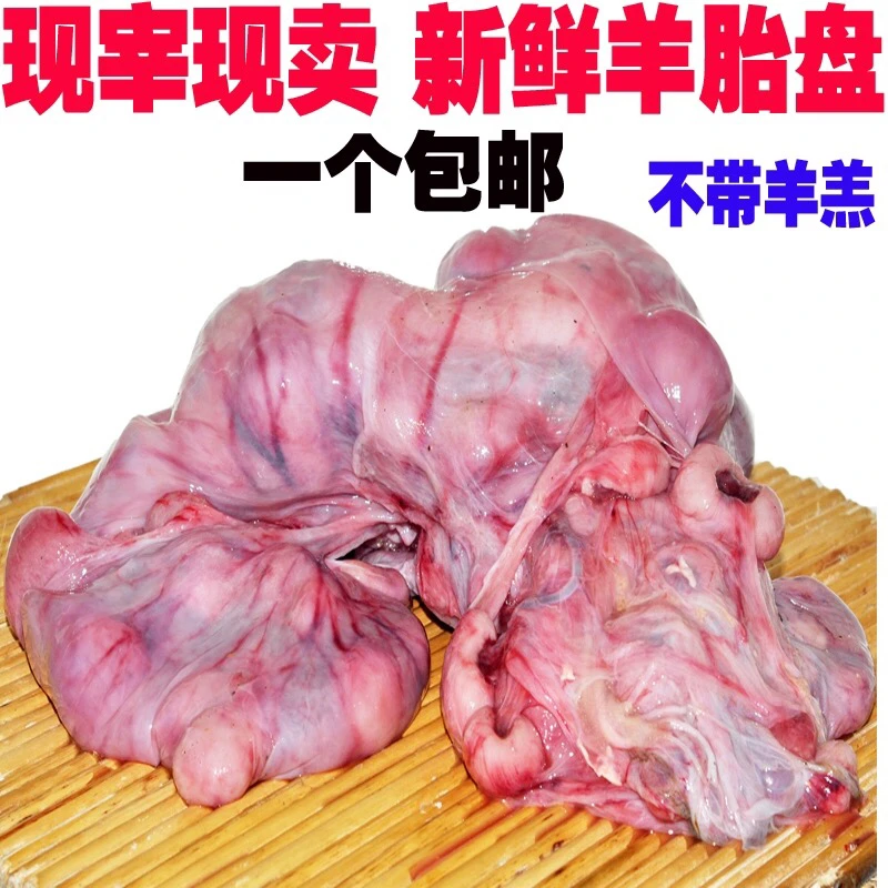内蒙古 羊胎盘三斤（下单再送一斤）