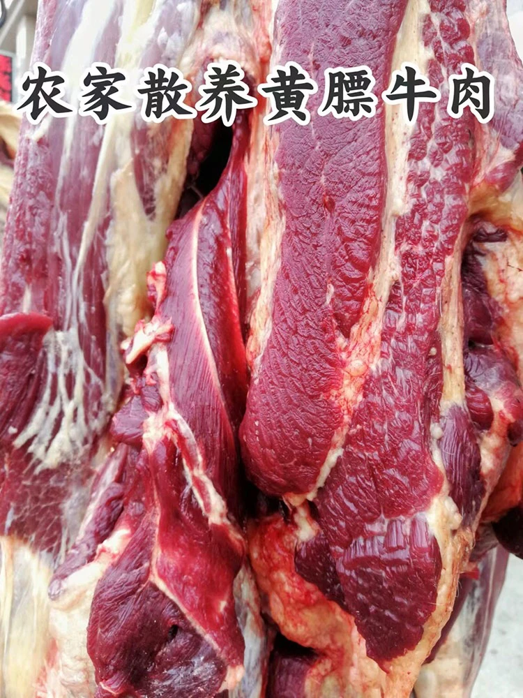 内蒙古锡林郭勒大草原黄膘牛肉