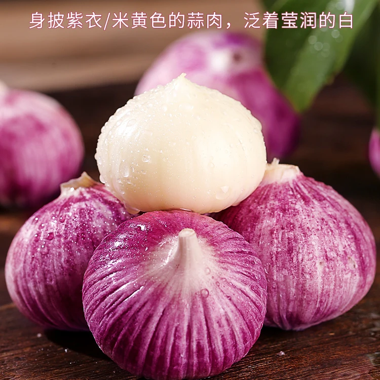 （2024)新晒云南紫皮独头蒜大蒜头辛辣饱满香辣脆爽1/3/5斤
