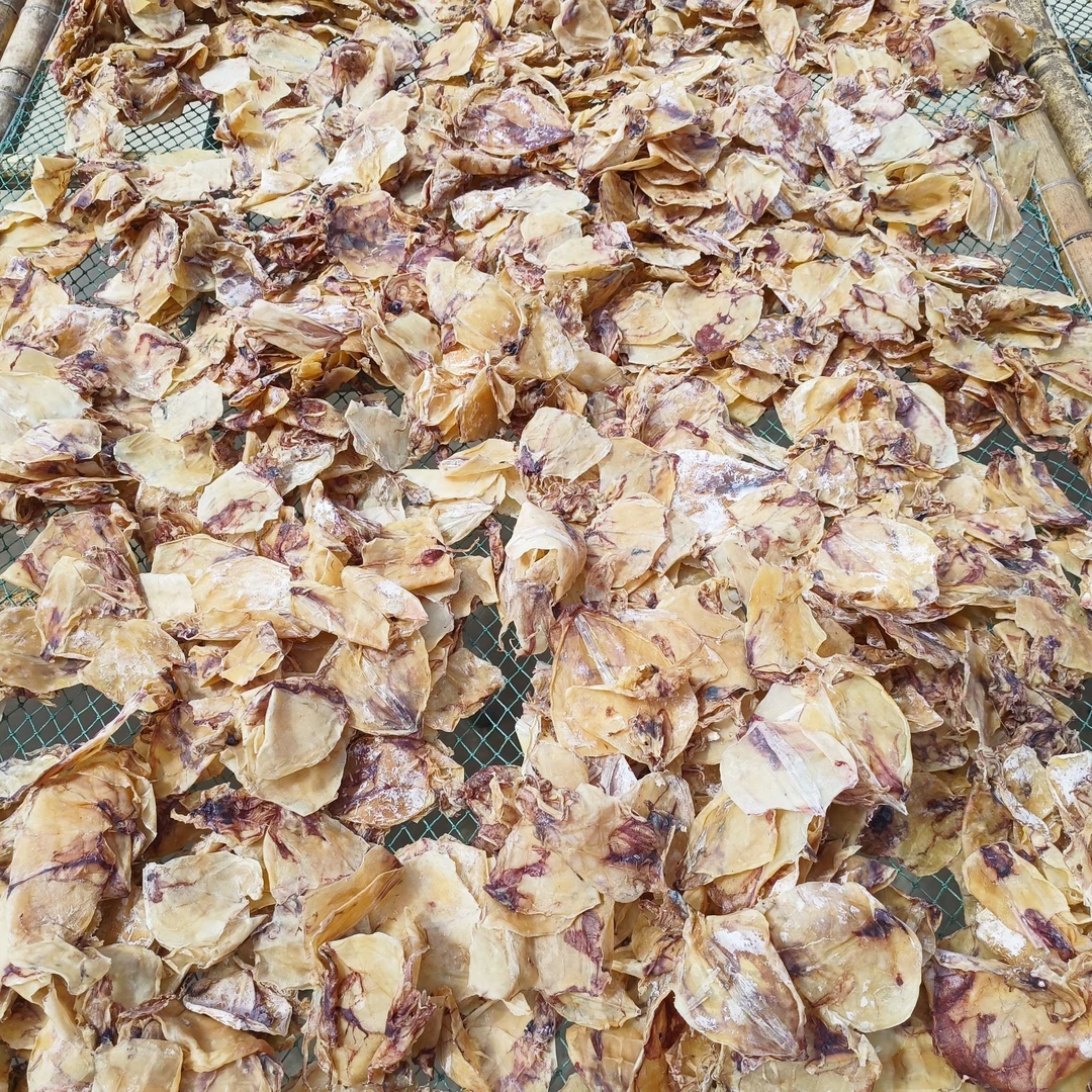 黄鱿片干潮汕本港鱿鱼片仔