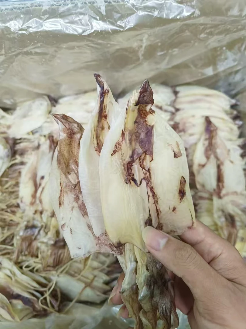 A3鱿鱼干本港新鲜三鱿头烧烤手撕沾芥末淡干无盐家用送礼潮汕特产