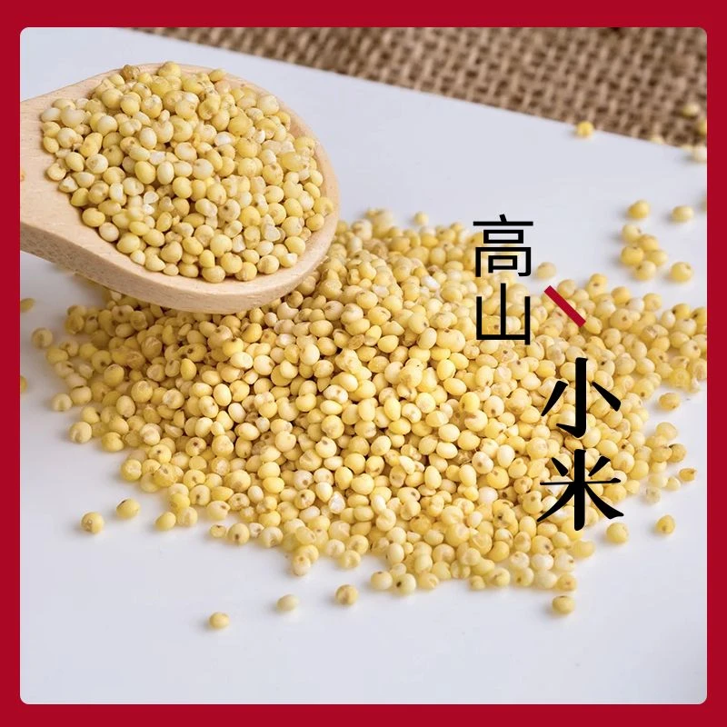 【暖暖专属】南太行高山苦荞小米2024年新米浓稠米油健康2.5kg/袋