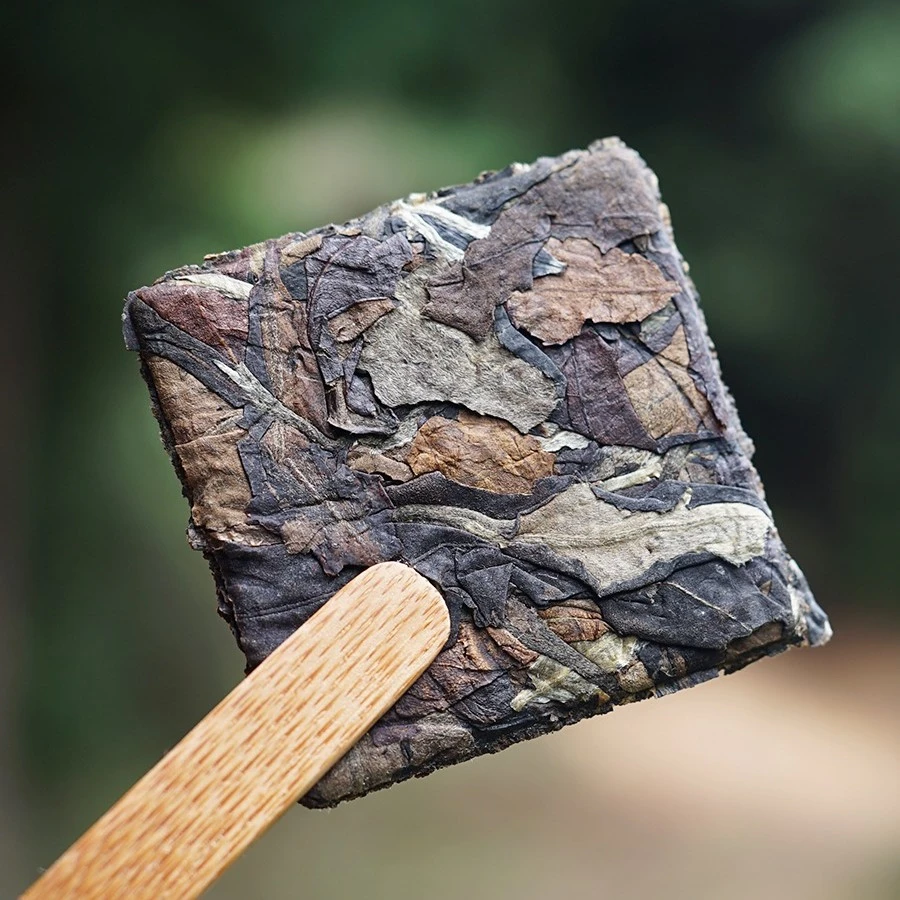 小户赛古树白茶小方片8克/片7年陈古树老板茶寿眉蔗糖甜