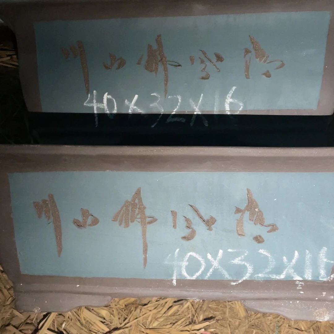 【闪购商品】红陶171cm(含)-200cm(含)青色