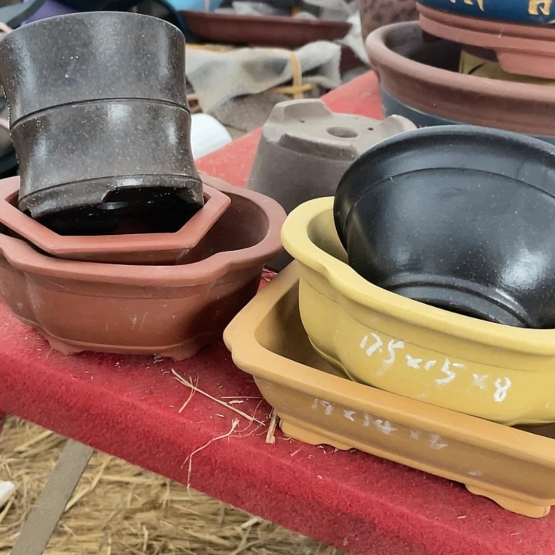 【闪购商品】紫砂15cm以下