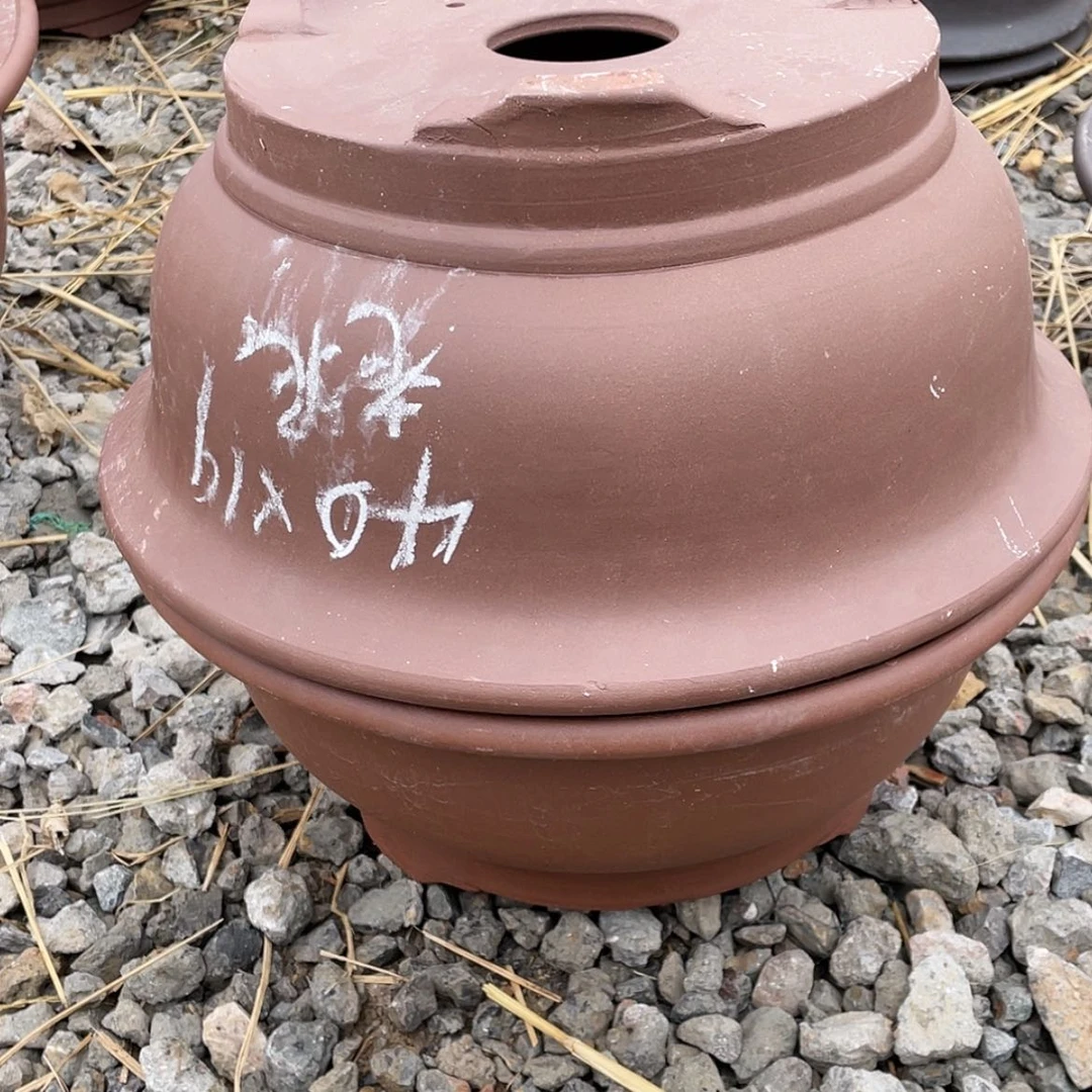 【闪购商品】紫砂15cm-20cm叶**秋一组两只