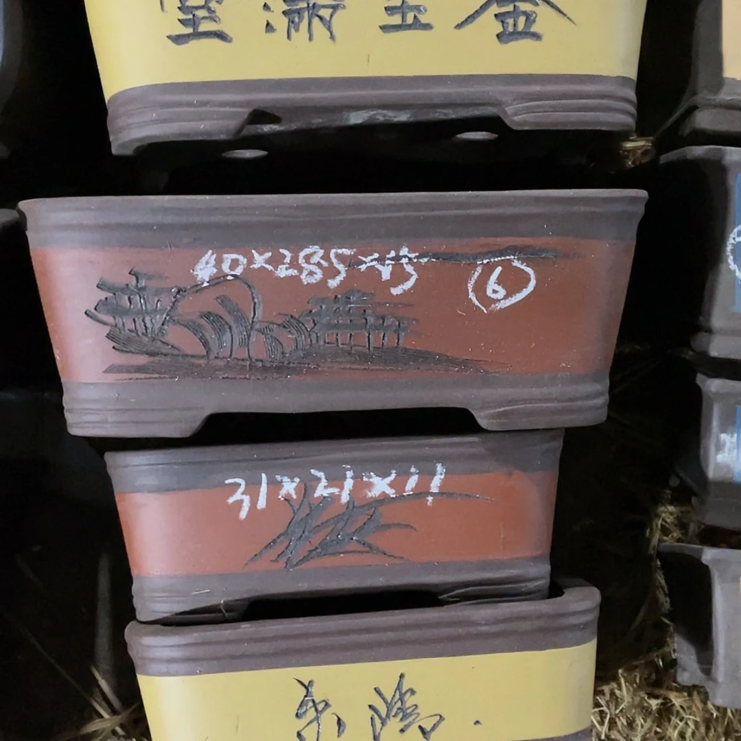 【闪购商品】紫砂171cm(含)-200cm(含)紫砂一组
