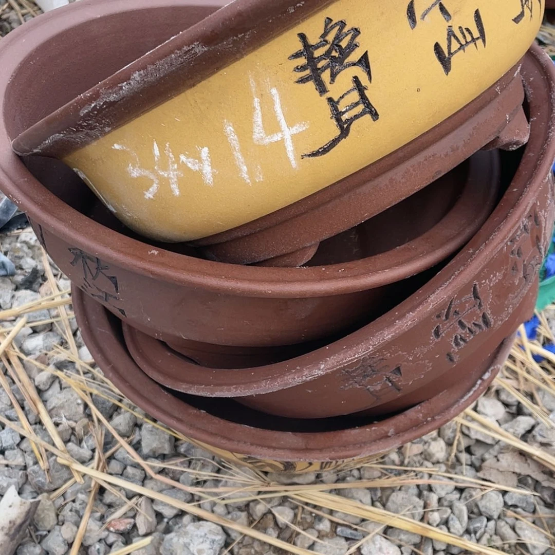 【闪购商品】紫砂171cm(含)-200cm(含)紫砂一组四只