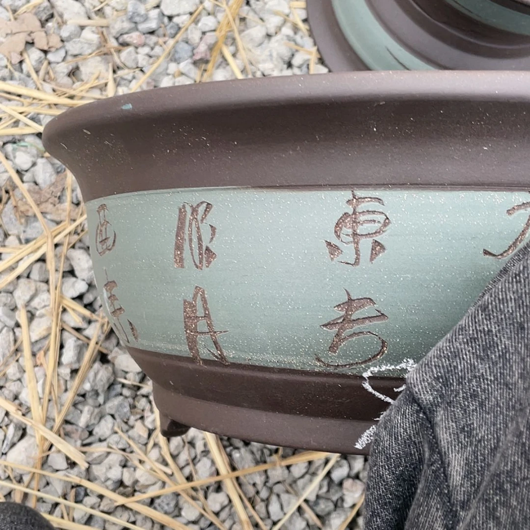 【闪购商品】红陶171cm(含)-200cm(含)青色