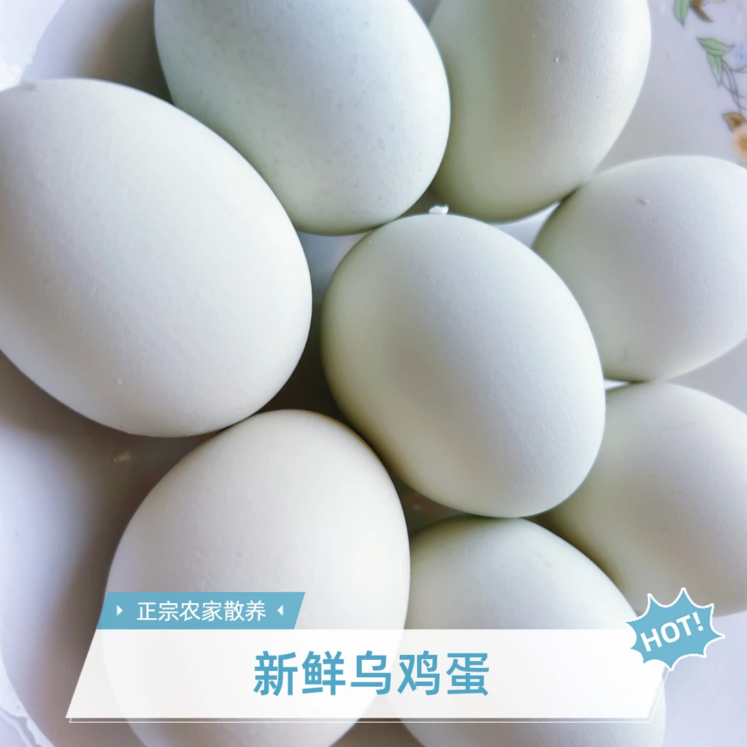 柴鸡绿壳乌鸡蛋新鲜乌鸡蛋正宗农家散养土鸡蛋草鸡蛋绿皮鸡蛋包邮