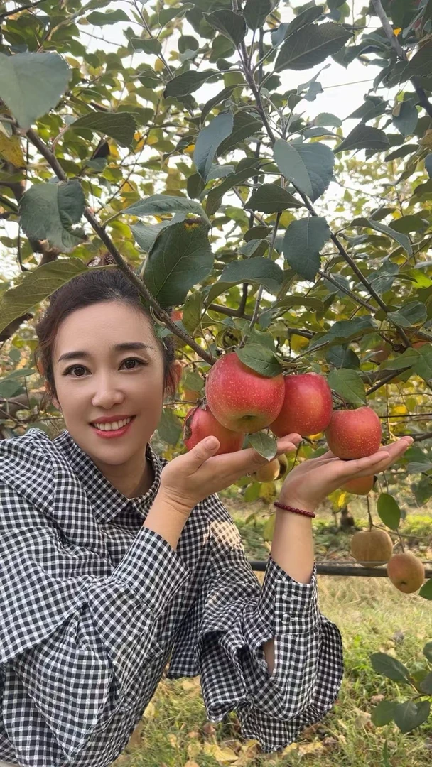 烟台红富士苹果 圆润细腻饱满脆甜清甜自家果园直发