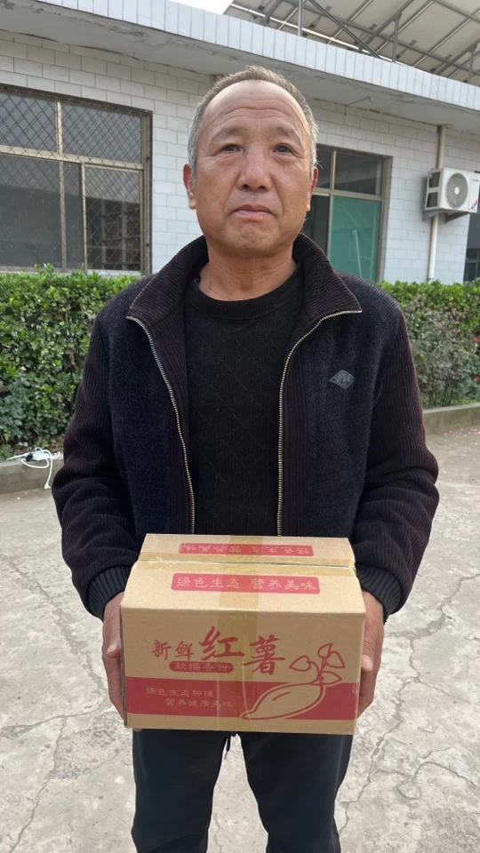 山西特产 大阳 济薯21 26 白芯红薯 蒸 煮 烤 5斤 大 中 小