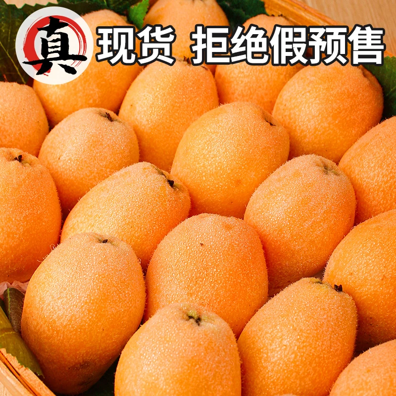 四川高山枇杷皮薄多汁水果当季大五星琵琶果果园直发包邮送枇杷叶