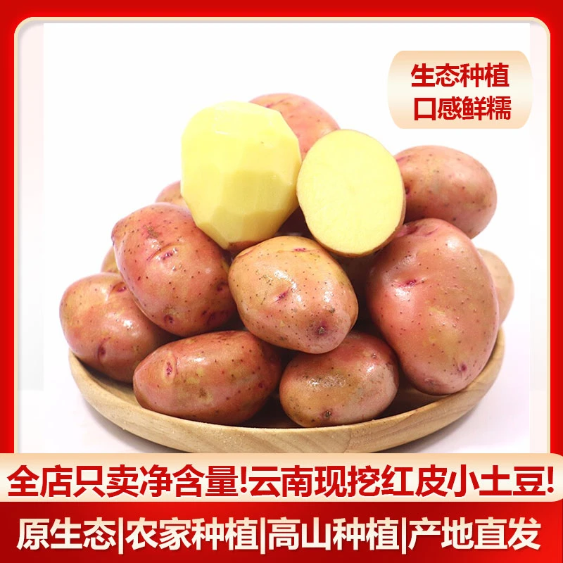 薯小萌云南红皮小土豆新鲜产地现挖现发包邮马铃薯洋芋农产品3斤