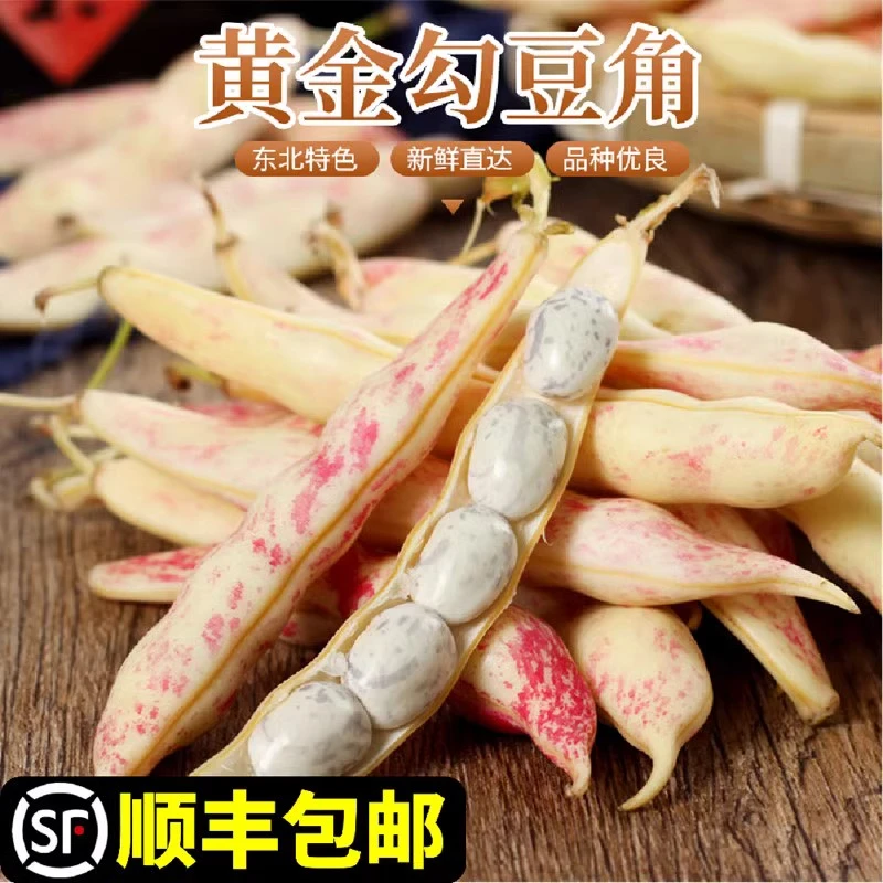 黄金勾豆角新鲜东北黄金钩豆角新鲜油豆角黑龙江蔬菜1斤回香创叶