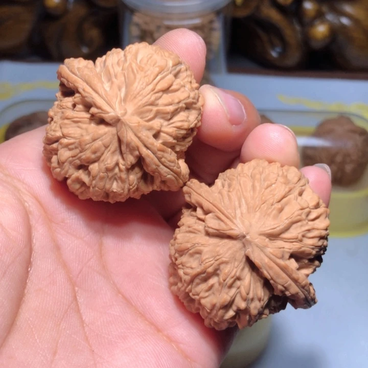 文玩核桃把件40白狮子