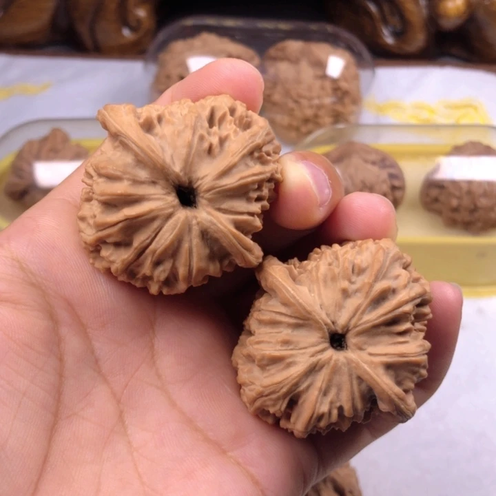 文玩核桃把件42红狮子