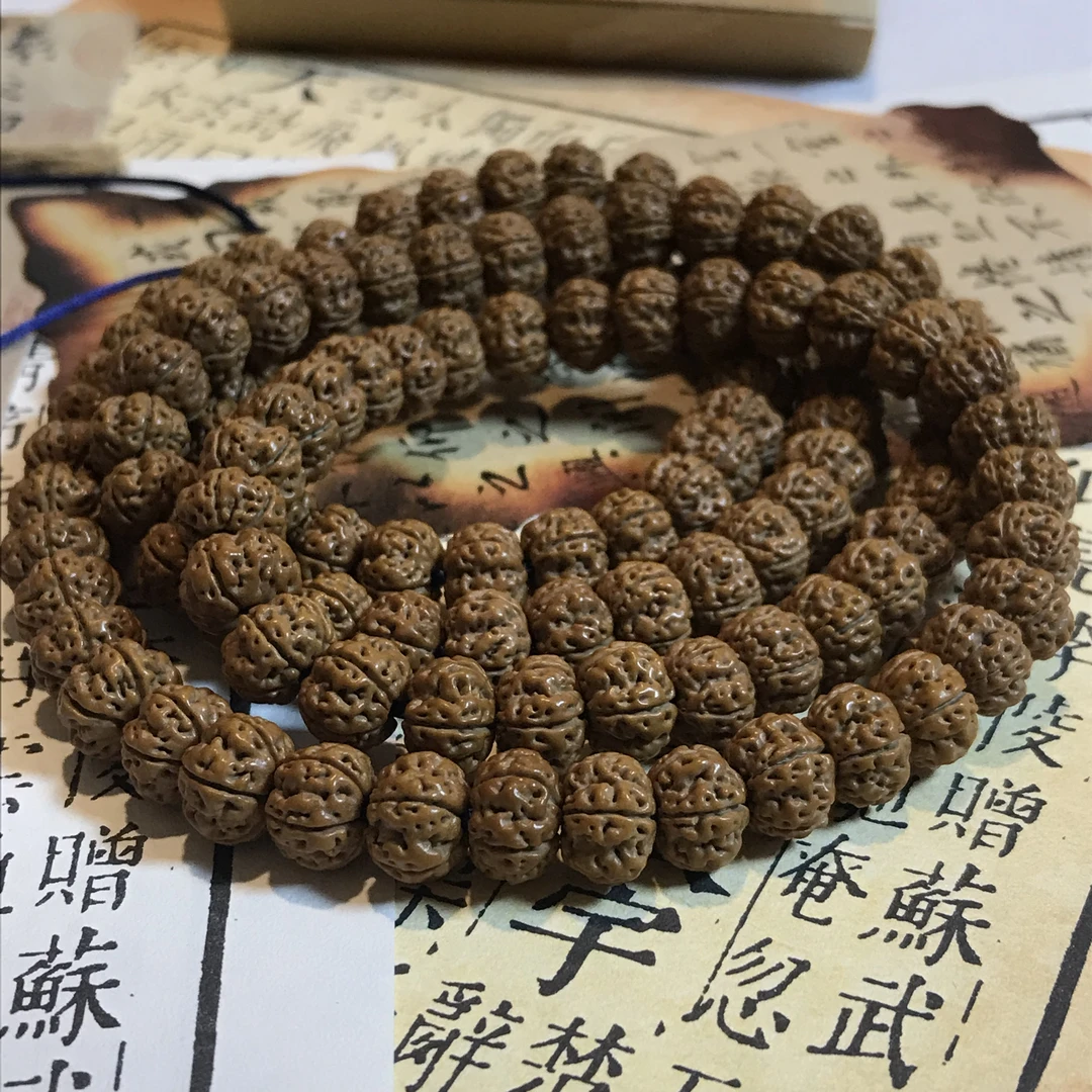 凹底梅花超头货颗颗精选120颗高油高密籽五瓣花王