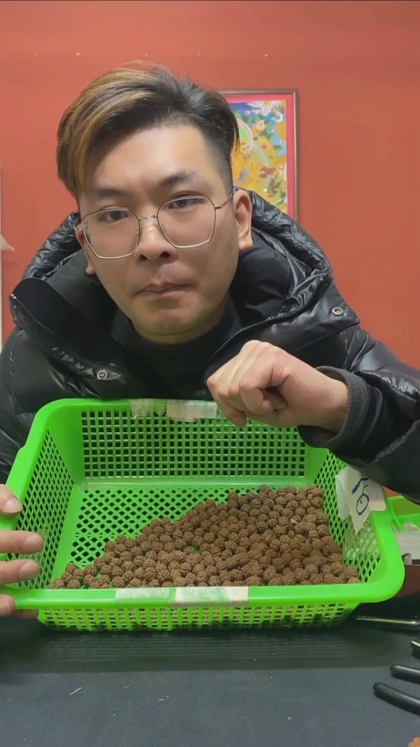 【闪购商品】金刚菩提手串方墩梅花13加精选