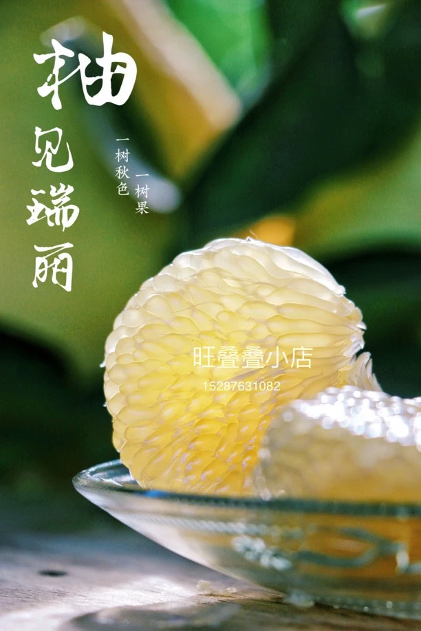 德宏瑞丽水晶柚 傣柚10个网袋装 当季新鲜水果