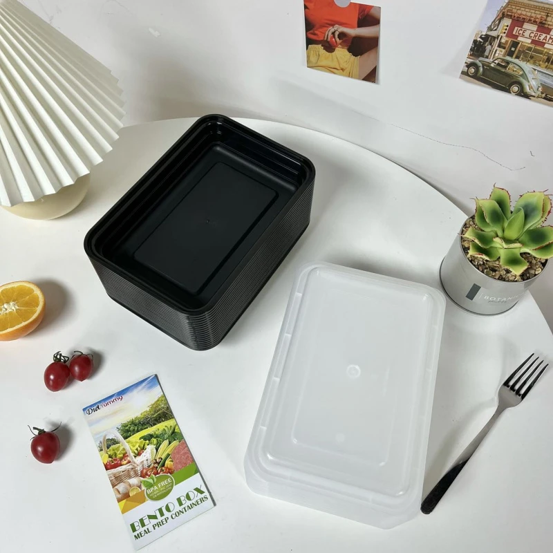 清18号 10个一次性饭盒碗