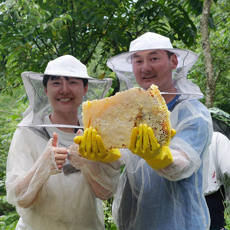 海伶山珍｜高山蜂蜜原蜜 900克/瓶 土蜂蜜食用产量稀少