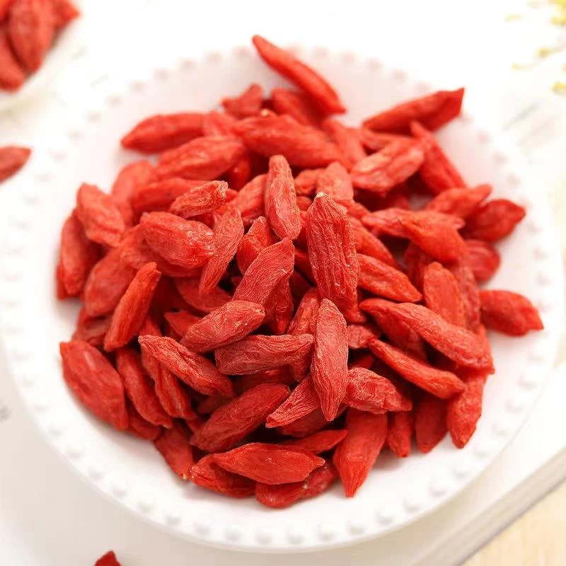 红枸杞泡水泡茶特级农产品苟杞干正宗宁夏中宁头茬枸杞子新货无硫